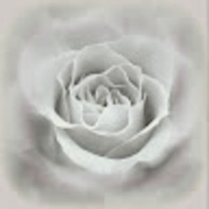 Meet your Posher, Teri